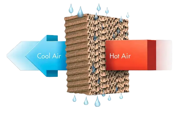 Air-filter